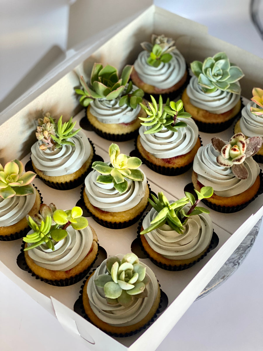 Succulent Cupcakes